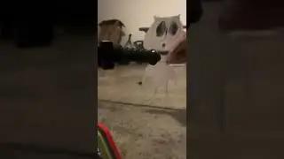 Jen CJ. Dzxfbf mince j nf