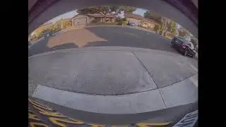 Tesla cam catches streaker