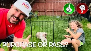 Is The FXW MiniPaws Playpen The Best Indoor & Outdoor Corral for Puppies & Small Dogs?