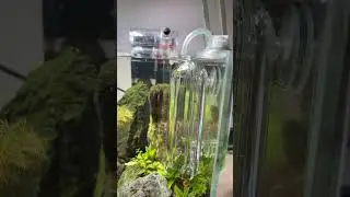 Step-by-Step: Setting Up ISTA CO2 Disposable Can (watch the full video!)