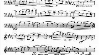 Dvorak - Silent Woods for Cello, Op.68 No.5