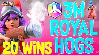 20 Win with 3M Royal Hogs