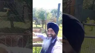 twin valley zoo,brantford hamilton 🇨🇦 30-09-2025