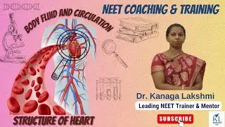 BODY FLUIDS AND CIRCULATION - STRUCTURE OF HEART | Dr Kanaga Lakshmi | KL Biology NEET 2024 |