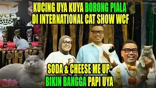 Kucing Uya Kuya Borong Piala di International Cat Show WCF