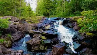 Gunbofallet | Waterfall in Örby, Sweden