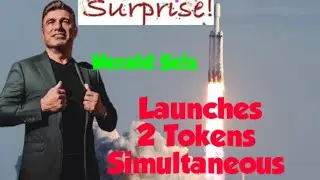Herald Seiz Launches 2 Tokens Simultaneous | V999 & ?