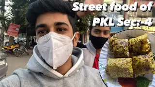 Street food of Panchkula Sec:-4 || Gurleen Singh Vlogs