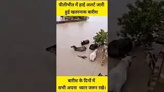 heavy rains in rajasthan | flood condition | #shorts #shortsfeed #viralvideo #heavyrain #flood
