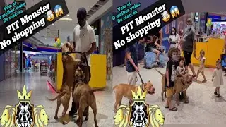 Pit Monster no shopping🤯O Melhor Vídeo🤩🚨🚨🤯