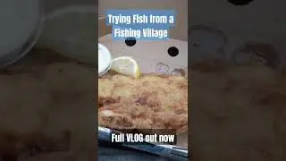 Trying Fish from a Fishery. #food #travel #ireland #placestoeat #boat #tourism #mukbang #eating