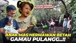 MAS HERMAWAN BELUM PERNAH KE AVIARY..?? ANAKNYA MAS HER BETAH, GAMAU PULANGGG