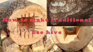 how to make traditional log hive with chain saw//beekeeping kashmir/PART 1
