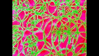 How to make textured & Patterned Paper