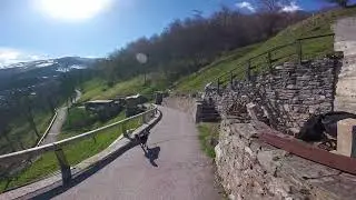 Spring Ride Houndstyle