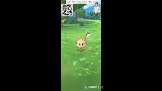 Hunting Shiny Ditto #PokemonGo #Live #Shiny