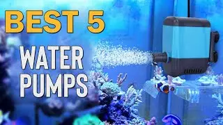 Best 5 Water Pumps for DIY projects | Fountains | Aquariums | Waterfall