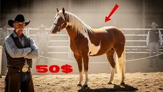 $50 Horse Turned Into a Miracle That Changed Their Lives | Horesback stories