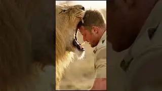 The Craziest Lion Encounter Ever Caught on Camera!