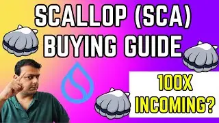 How To Buy Scallop (SCA) Tokens | Leading Lending Protocol On Sui Network