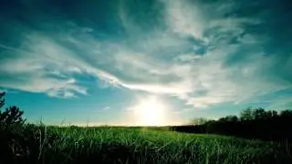 Captive Agents feat. Maygen Lacey - Sunny