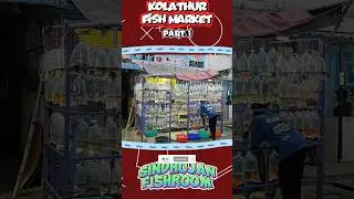 Kolathur Aquarium Street 🔥 Fish Lovers Heaven | Tamil