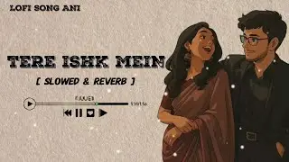 Tere Ishk Mein (Slowed + Reverb) | Arijit Singh, A.R. Rahman | Lofi Song Ani