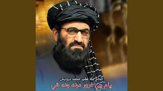 چې زمونږ وینو ته مو پام وي