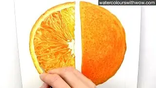 How to paint a realistic juicy orange slice in watercolour with Anna Mason