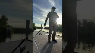 SNOOK FISHING SW FLORIDA PUNTA GORDA #florida #fishing