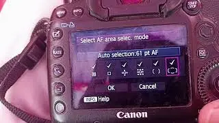 canon #5dmark3 #Af settings #Af point display during focus