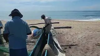 Beach seine operation loading fishing nets , traditional fishing Sri lanka. Part 1-3