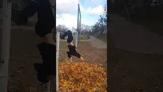 Я вернулся, стоит ли мне дальше продолжать снимать? #dance #due #flip #fun #воркаут #duet