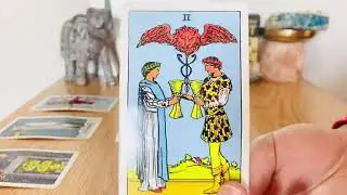 Scorpio Next 24 Hrs! Tarot Love Collective Reading ❤️
