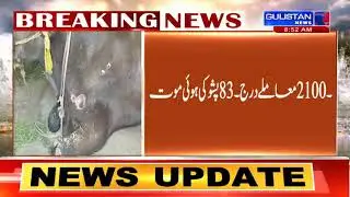 Lumpy Skin Disease continues to affect cattle in Kashmir, hitting farmers&rsquo; economy