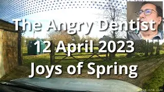 The Angry Dentist&mdash;Joys of Spring
