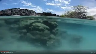 Aloha Friday Live! Pono Mo ʻOno   Actions for Healthy Oceans and Food for the Future