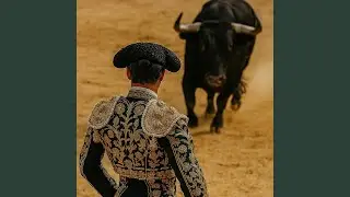 EL TORERO