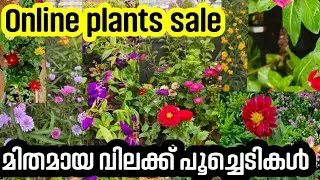 Plants sale / Online plants #online #flowers #garden #plants #rose #sale 