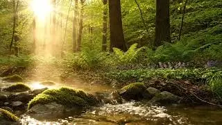 Calm River Rain Sounds and Soft Piano for Stress Relief