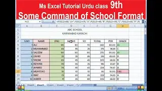 Ms Excel Class 9Th