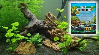 JBL Manado Dark y AquaBasis Plus | Montaje Acuario Plantado 91L