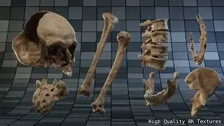 Fredegund - The BlenRig Skeleton