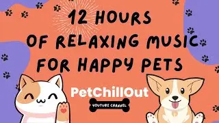 Ultimate 12 Hours of Relaxing Music for Pets: Soothe Your Furry Friends with Calming Tunes