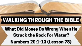 What Did Moses Do Wrong When He Struck the Rock For Water? [Numbers 20:1-13][Lesson 78][WTTB]