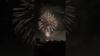 Happy New year 🎉 ✨️ 
