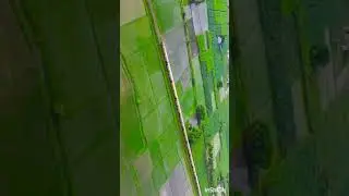 Paradise | Vayalveli  #shoppingwithsk #shorts #vayal #train