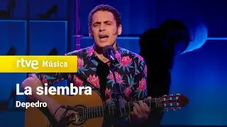 Depedro - 