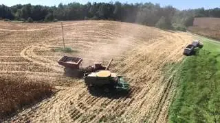 Vickers Farms