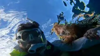 Molokini Crater snorkeling - Maui, Hawaii - August, 2025